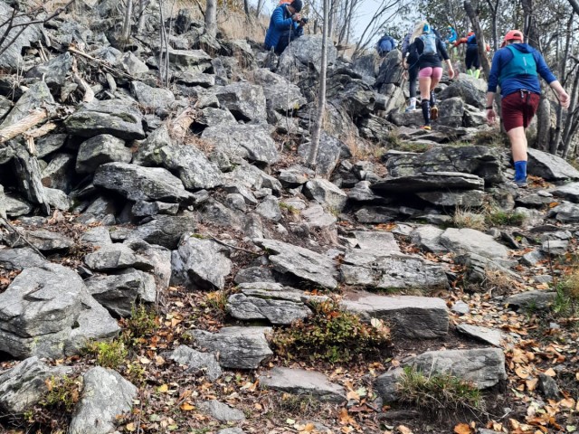 Premiere beim O-See Trail für den Läuferbund Schwarzenberg